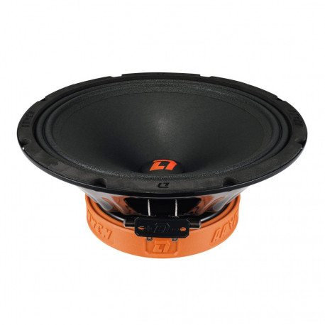 DL Audio Raven 250