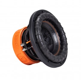 DL Audio Raven 10 v.2
