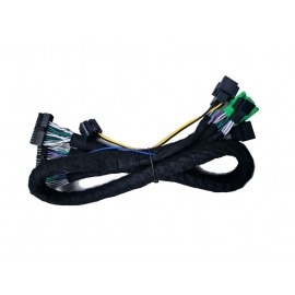 Goldhorn A2B PNP Harness for Aito M9 1m